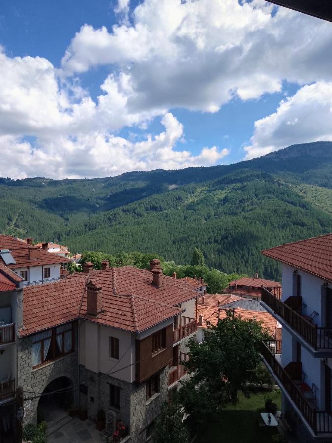 Arka Metsovo Hotel Exterior foto