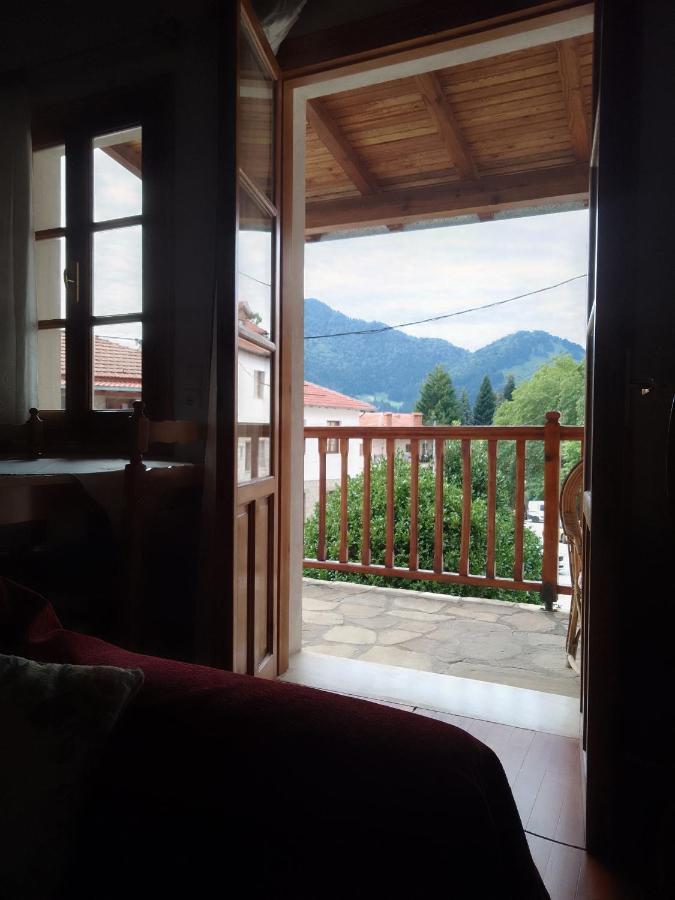 Arka Metsovo Hotel Exterior foto