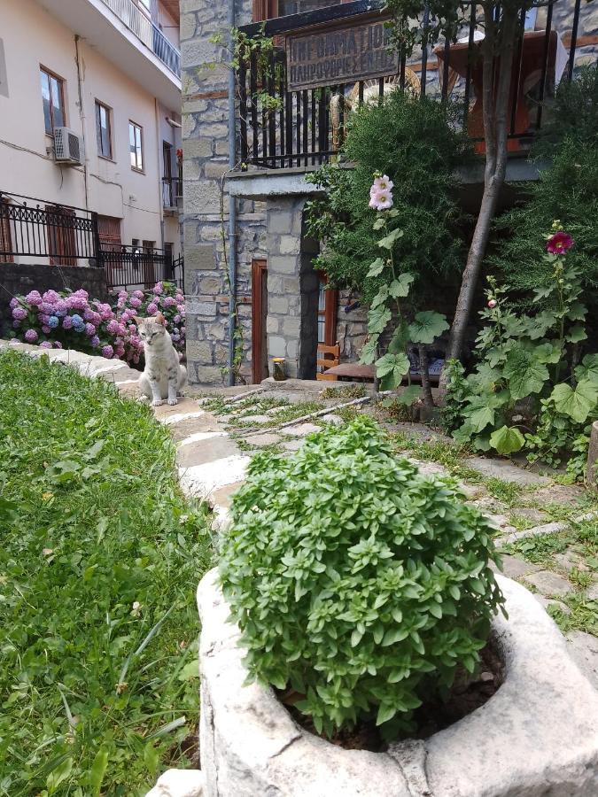 Arka Metsovo Hotel Exterior foto