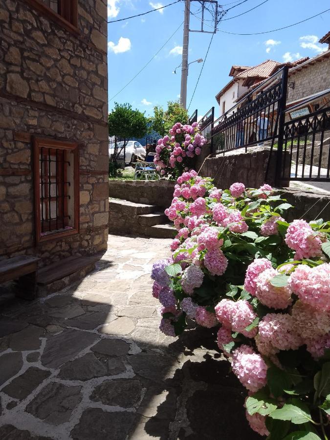 Arka Metsovo Hotel Exterior foto